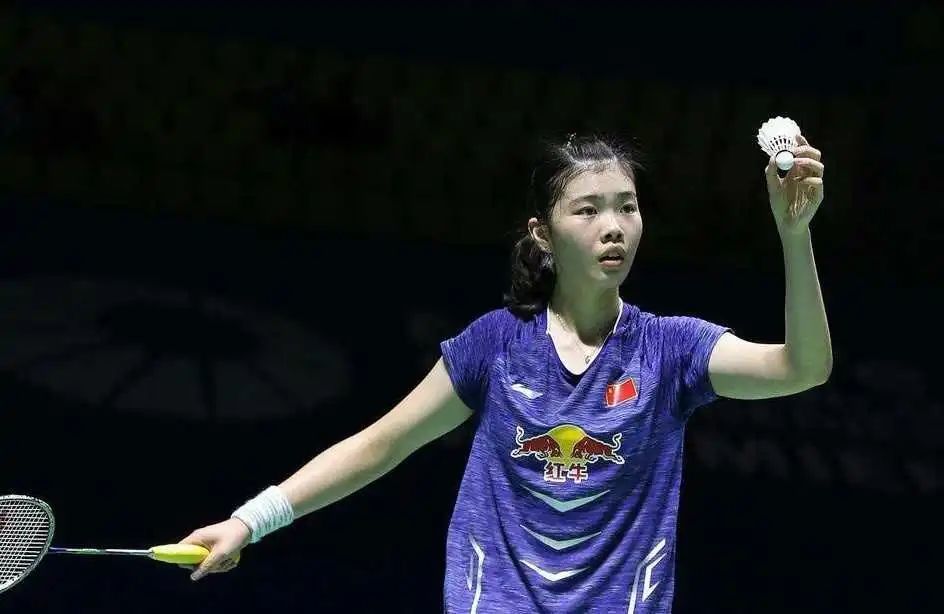 关于中国羽毛球队逆转韩国羽毛球队，马琳高光表现的信息