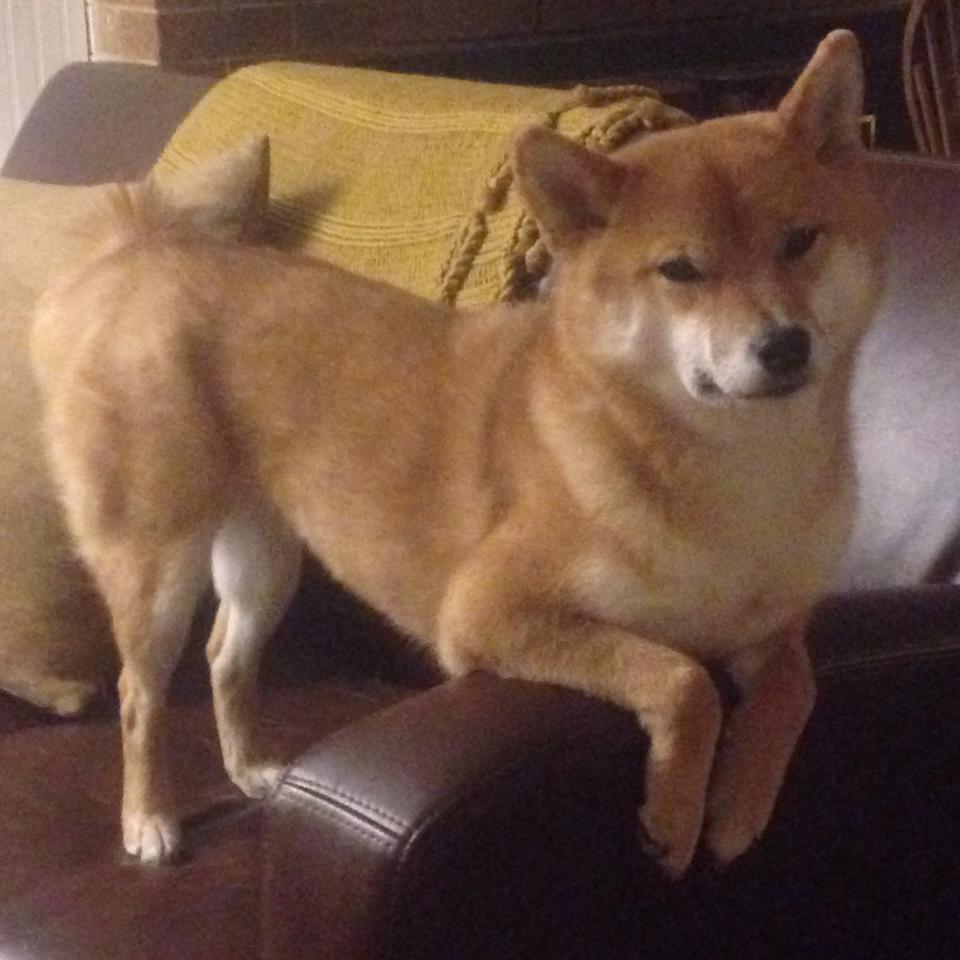 唯一性的共鸣，当基米希一锤定音与厄瓜多尔逆转埃及同入史册