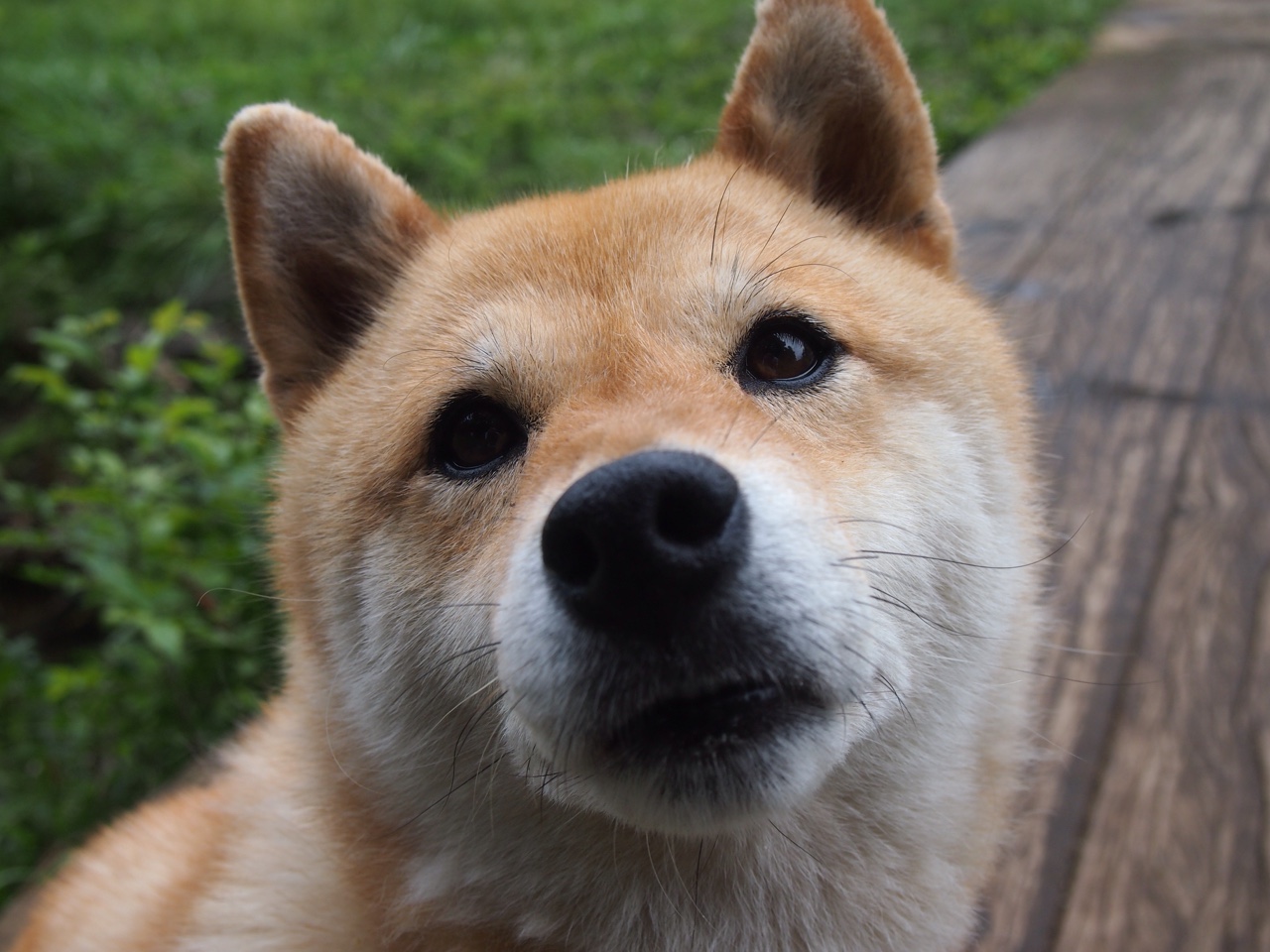 开云体育登录-大场面先生！布伦森欧冠半决赛封神一战，诠释唯一性