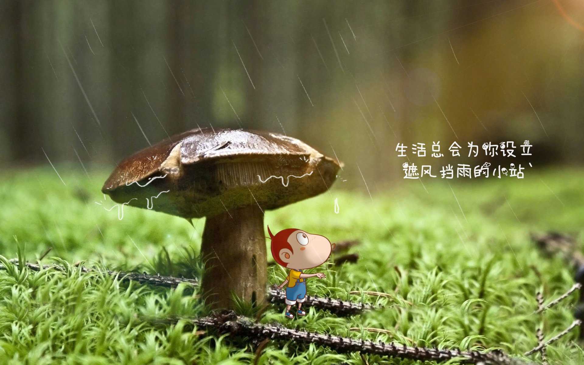 开云体育中国-胜负天平的唯一支点，当伦纳德用一双巨掌，将开拓者托上王座